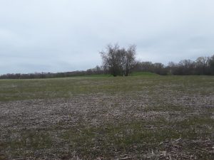 Parcel G - 7866 60th St Alto, MI 49302